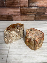 Load image into Gallery viewer, Petrified Wood