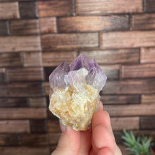 Load image into Gallery viewer, Cactus Spirit Quartz Cluster