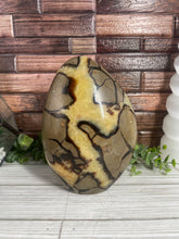 Load image into Gallery viewer, Septarian Calcite Freeform