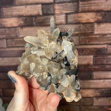 Load image into Gallery viewer, Smoky Quartz With Black Tourmaline Cluster