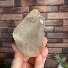 Load image into Gallery viewer, Smoky Quartz Cluster
