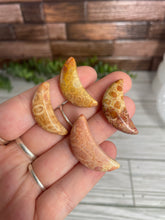 Load image into Gallery viewer, Agatized Coral Mini Moon Carving