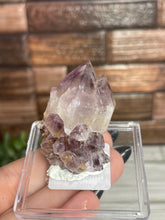 Load image into Gallery viewer, Cactus Spirit Quartz