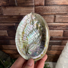 Load image into Gallery viewer, Abalone Shell