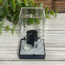 Load image into Gallery viewer, Tourmaline & Aquamarine Specimen