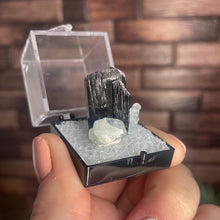 Load image into Gallery viewer, Tourmaline & Aquamarine Specimen