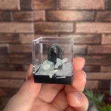 Load image into Gallery viewer, Tourmaline & Aquamarine Specimen