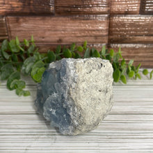 Load image into Gallery viewer, Celestite Cluster