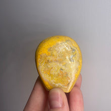 Load image into Gallery viewer, Bumblebee Jasper Freeform