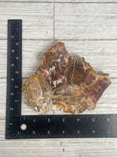 Load image into Gallery viewer, Petrified Wood Slab