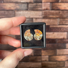 Load image into Gallery viewer, Ammonite Pair Mini
