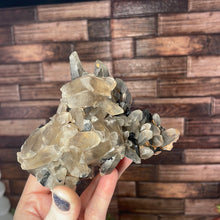 Load image into Gallery viewer, Smoky Quartz With Black Tourmaline Cluster