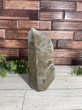 Load image into Gallery viewer, Amethyst Geode (1)