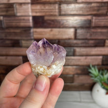 Load image into Gallery viewer, Cactus Spirit Quartz Cluster