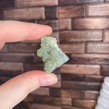 Load image into Gallery viewer, Prehnite Cluster Medium