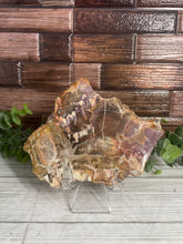 Load image into Gallery viewer, Petrified Wood Slab