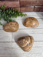 Load image into Gallery viewer, Picture Jasper Freeform
