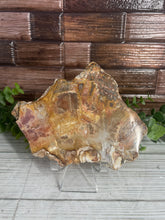 Load image into Gallery viewer, Petrified Wood Slab