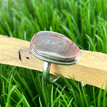Load image into Gallery viewer, Petrified Wood Sterling Silver Ring Size 11