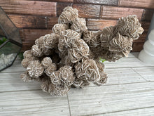 Load image into Gallery viewer, Desert Rose