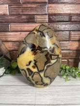 Load image into Gallery viewer, Septarian Calcite Freeform