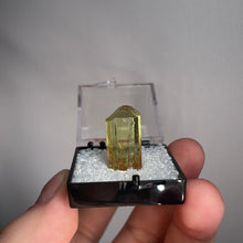 Load image into Gallery viewer, Green Apatite Gemstone In Box