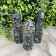 Load image into Gallery viewer, Kambaba Jasper Tower