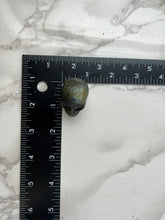 Load image into Gallery viewer, Labradorite Skull