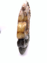 Load image into Gallery viewer, Fossil Ammonite