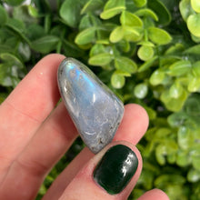 Load image into Gallery viewer, Labradorite Tumbled Stone (1)