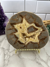 Load image into Gallery viewer, Septarian Slab