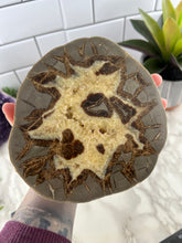 Load image into Gallery viewer, Septarian Slab