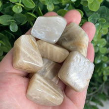 Load image into Gallery viewer, Tumbled Moonstone