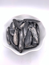 Load image into Gallery viewer, Orthoceras Fossil (1)