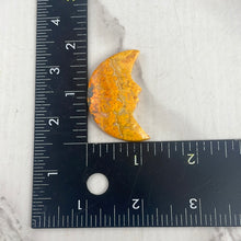 Load image into Gallery viewer, Bumblebee Jasper Moon