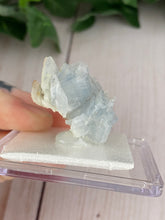 Load image into Gallery viewer, Blue Barite