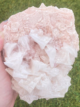 Load image into Gallery viewer, Pink Halite Crystal | Crystals Stones Rocks & Minerals