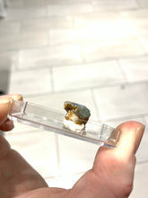 Load image into Gallery viewer, Aquamarine with Schorl