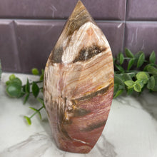 Load image into Gallery viewer, Petrified Wood Flame