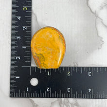 Load image into Gallery viewer, Bumblebee Jasper Freeform