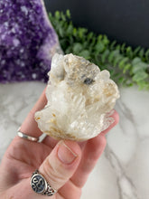 Load image into Gallery viewer, Clear Quartz Cluster Hedgehog