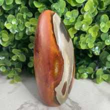 Load image into Gallery viewer, Polychrome Jasper Freeform