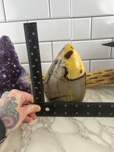 Load image into Gallery viewer, Septarian Freeform