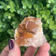 Load image into Gallery viewer, Cubic Yellow Fluorite