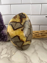 Load image into Gallery viewer, Septarian Freeform