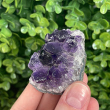 Load image into Gallery viewer, Amethyst Cluster