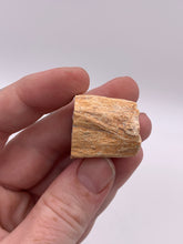 Load image into Gallery viewer, Petrified Wood