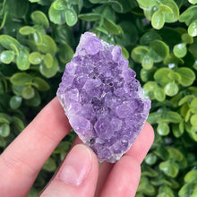 Load image into Gallery viewer, Amethyst Cluster