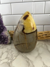 Load image into Gallery viewer, Septarian Freeform