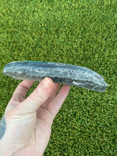 Load image into Gallery viewer, Fossil Orthoceras